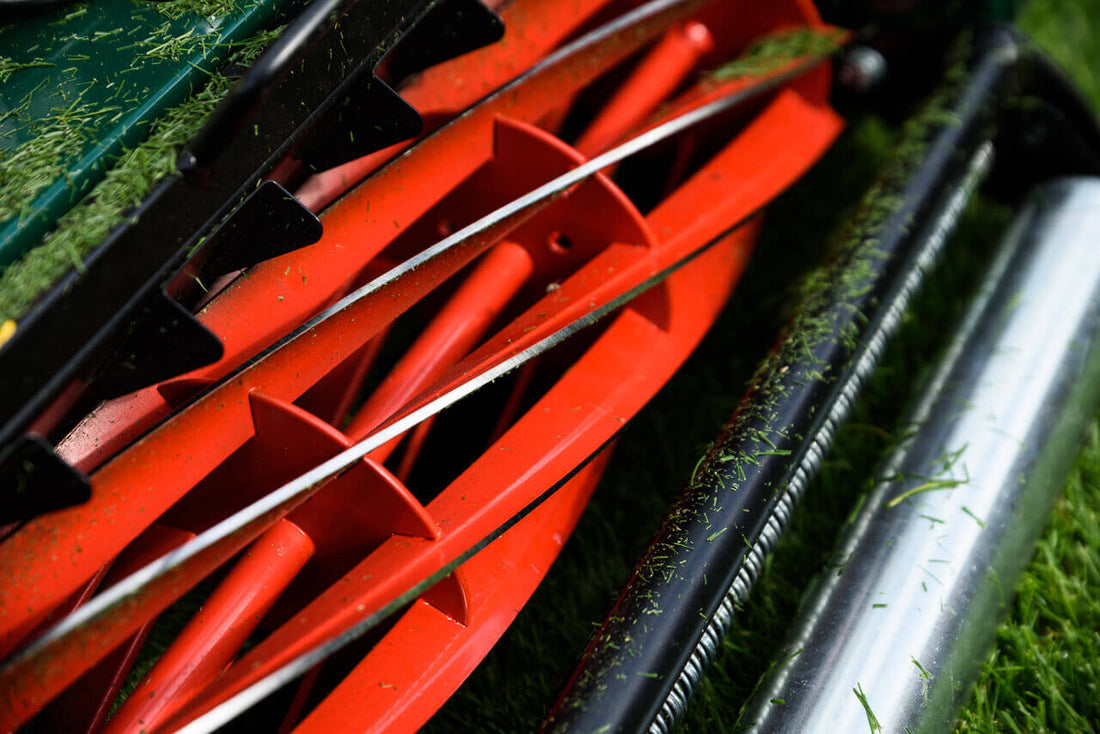 Winter Lawn Tips