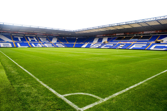 Allett Mowers Birmingham stadium