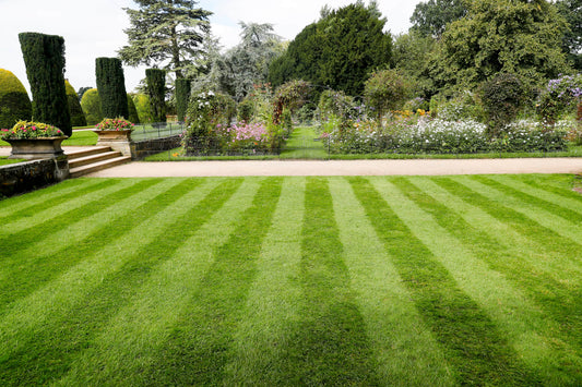 Caroline Beacall - Head Gardener - Shugborough Estate