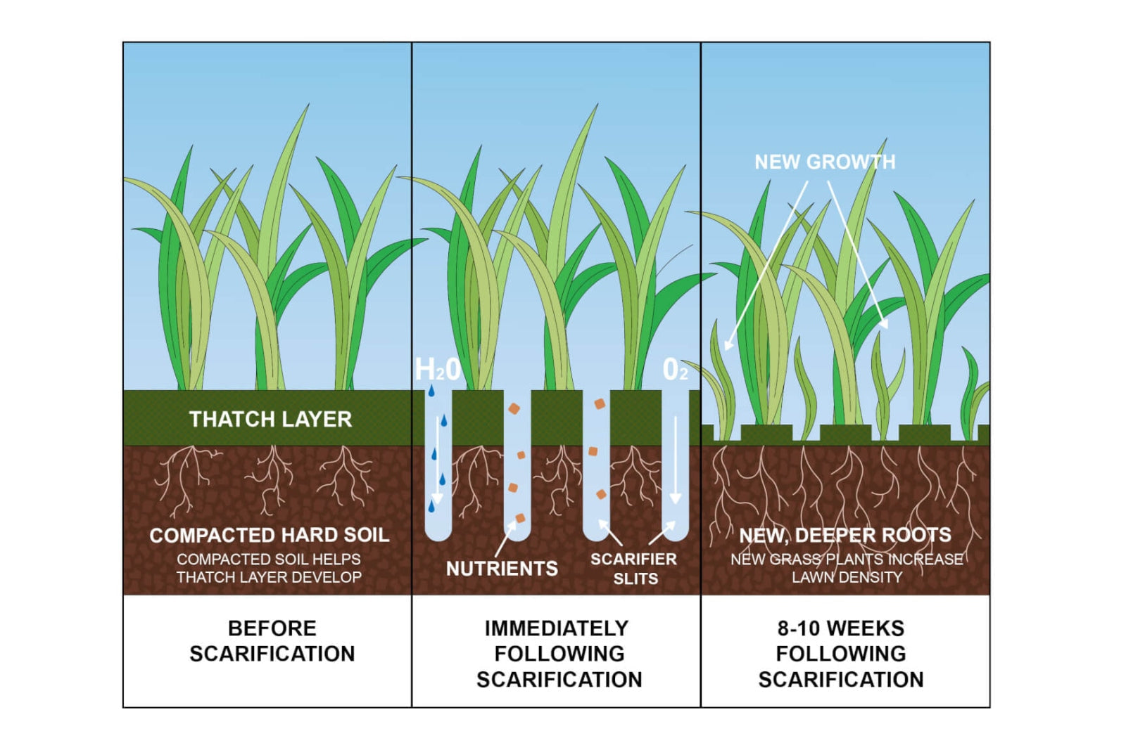 Allett's Top 5 Tips For Lawn and Garden Month – ALLETT Pro