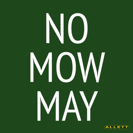 No Mow May: Why It's A Bad Idea and What Can You Do Instead?
