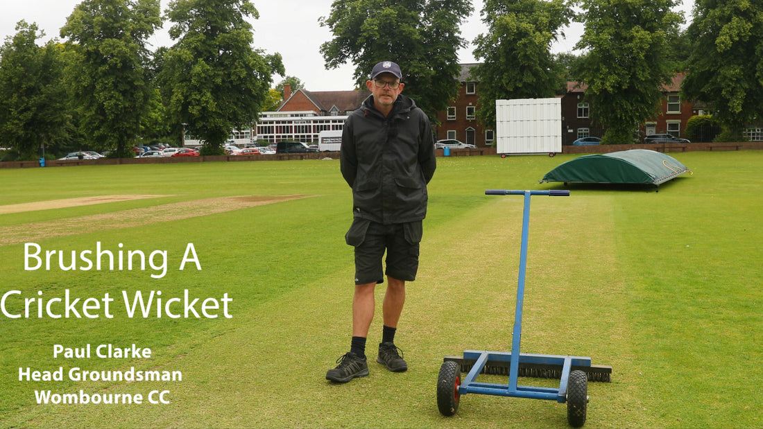 The Benefits of Brushing A Cricket Wicket