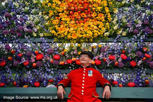 Chelsea Flower Show 2019 Flower Display